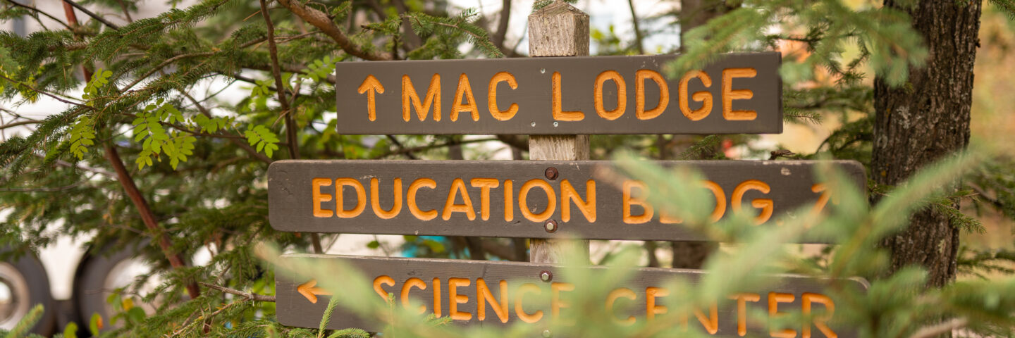 Signs pointing to Mac Lodge and Education Building at Wolf Ridge