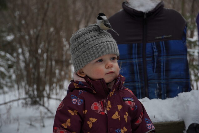 Small child in winter with bird on head