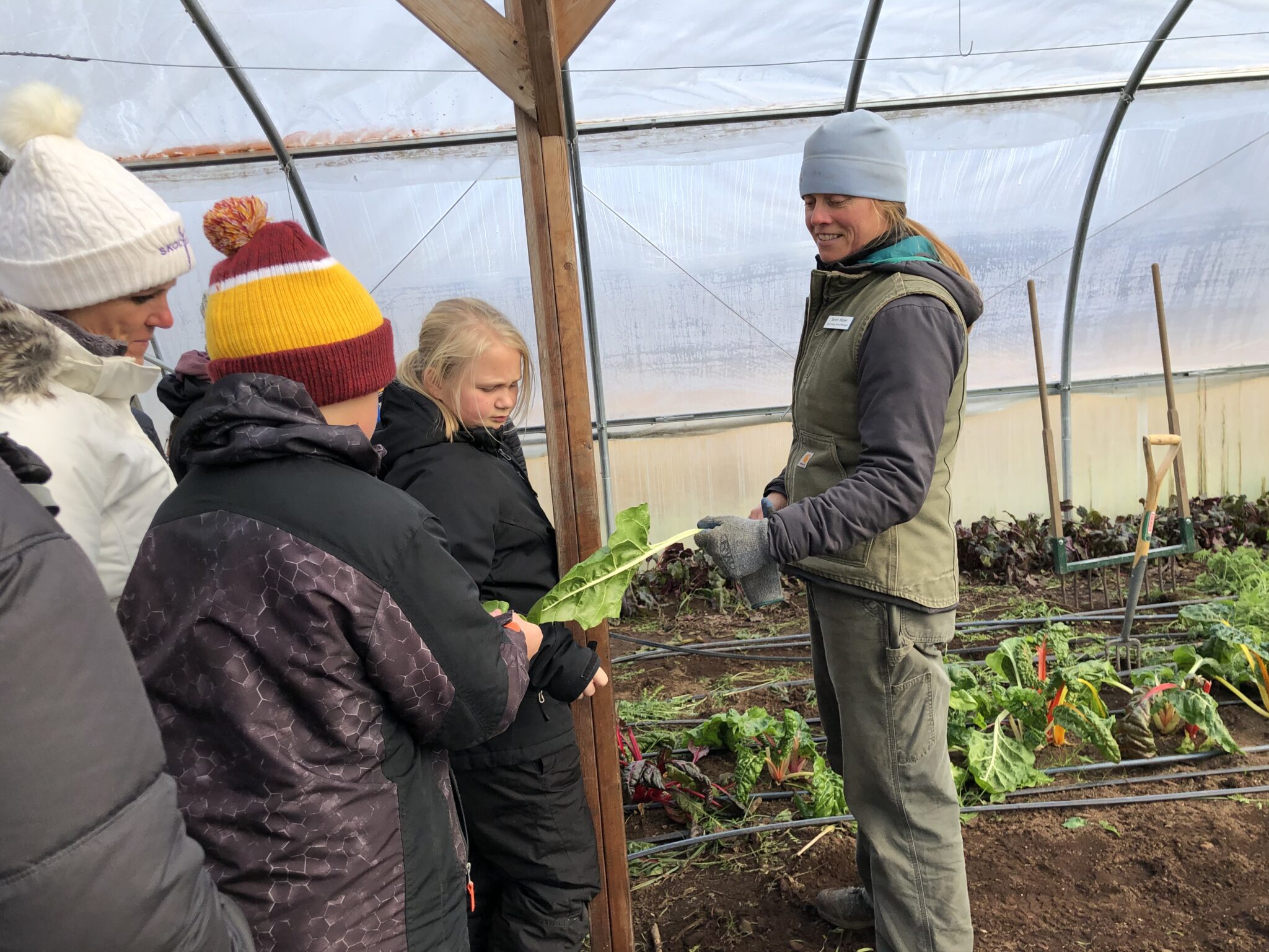 Organic Farm & Classroom Wolf Ridge