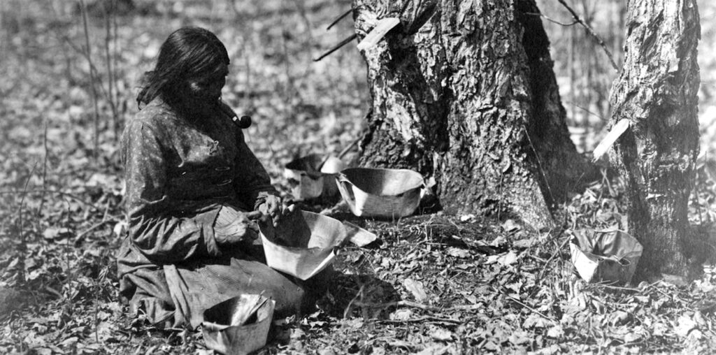 Ojibwe Heritage Cultural History Wolf Ridge