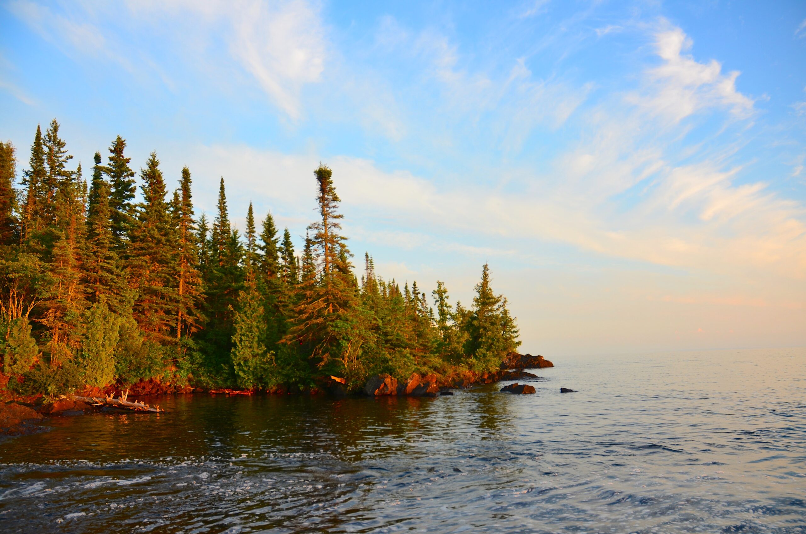 Trees On Shore Along Lake Superior
