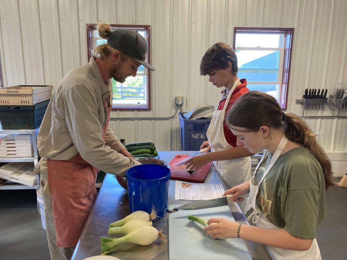 Fall Harvest Scenes From the Wolf Ridge Farm