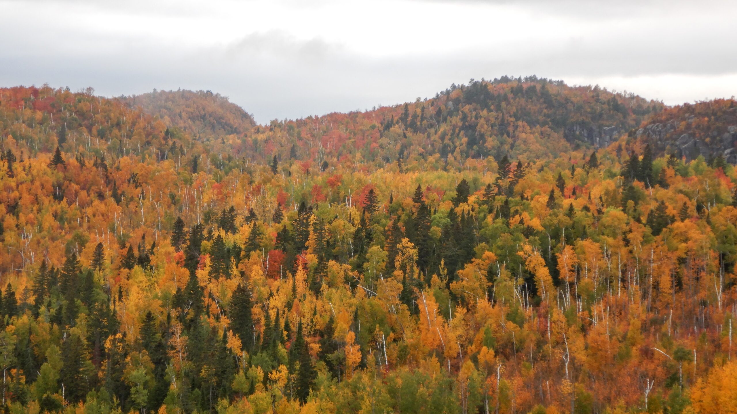 Fall colors on hills at Wolf Ridge