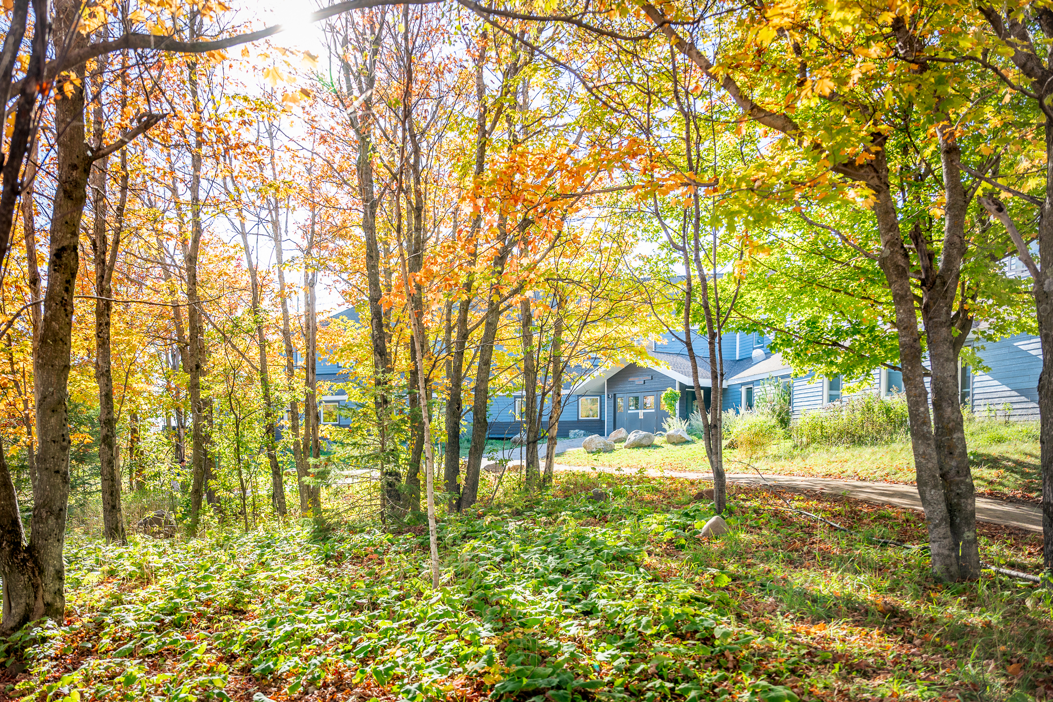 Blue Building Surrounded By Trees with Red and Green Leaves