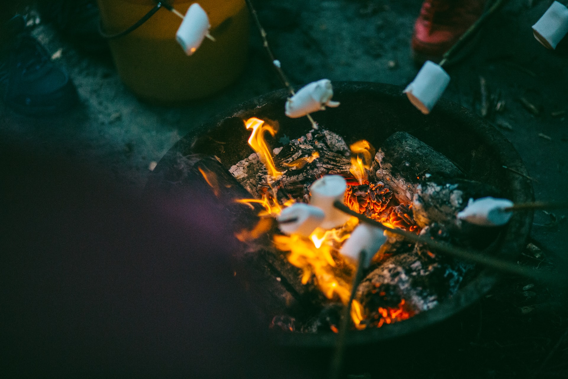 Campfire with roasting marshmallows