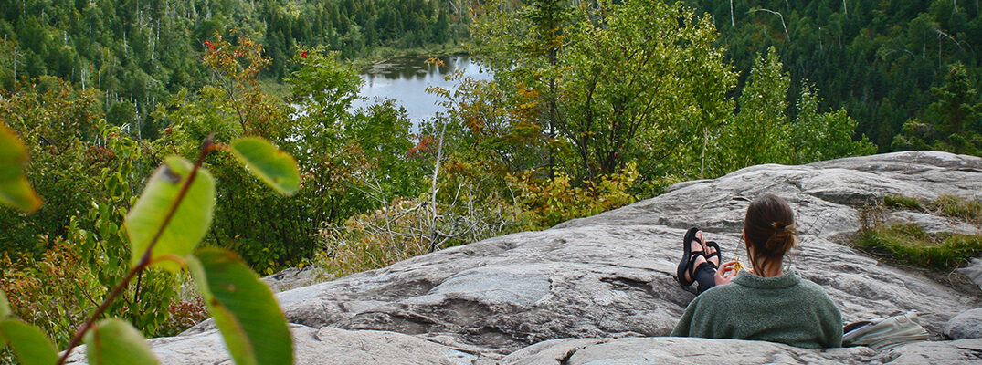 Person on rock overlooking a small pond in summer at Wolf Ridge